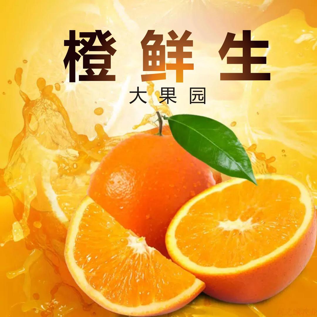 橙鲜生大果园