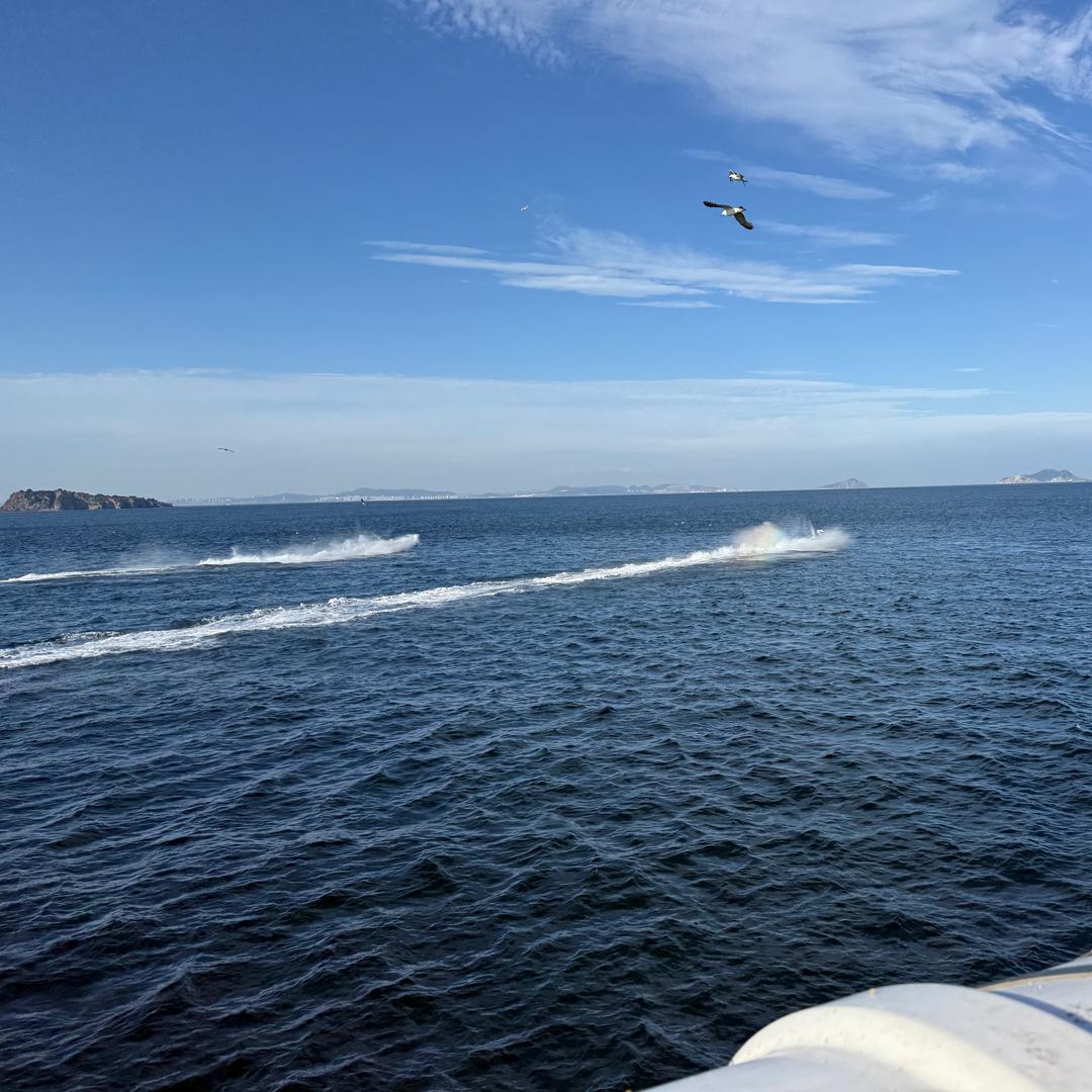 安国转盘大锅菜