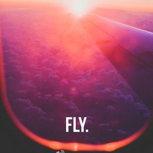 FLYCITY