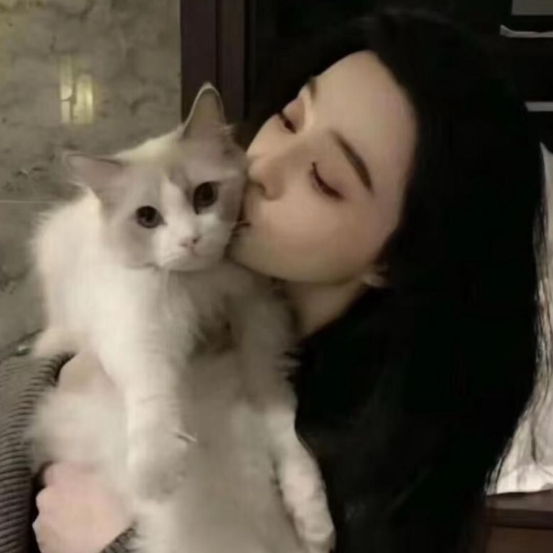小杨