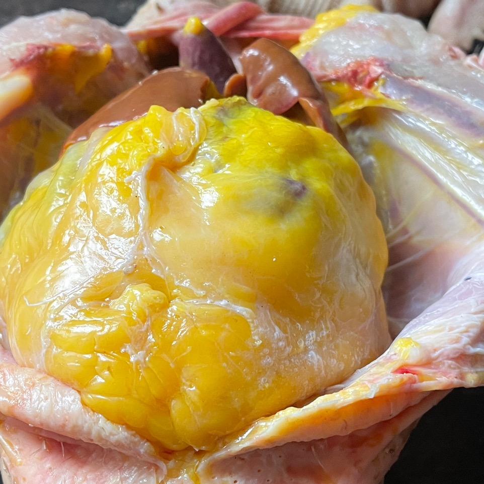 江苏格宸农村特产