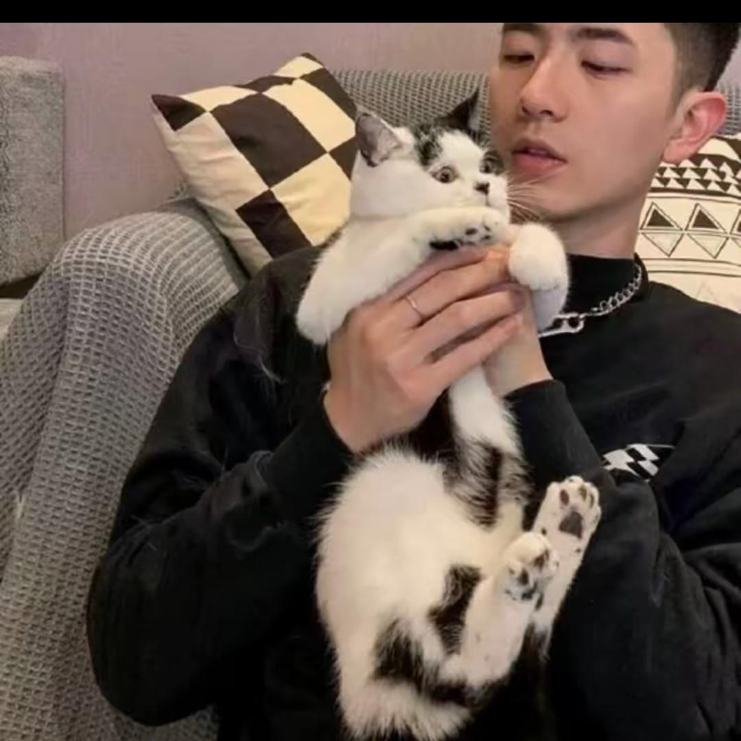 晚風ˇ🧸ྀི