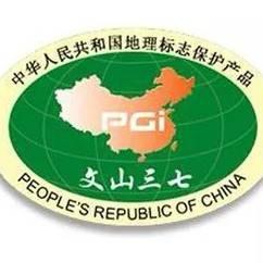 文山三七搬运工