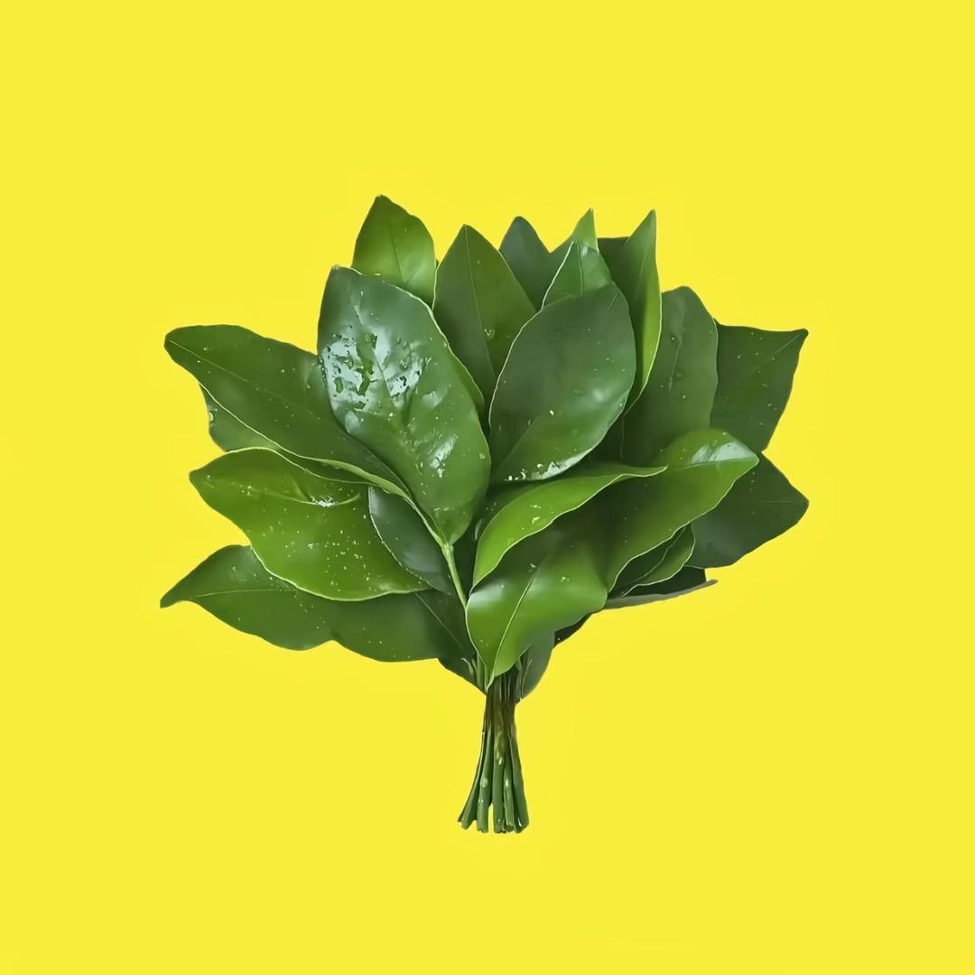 苪萱