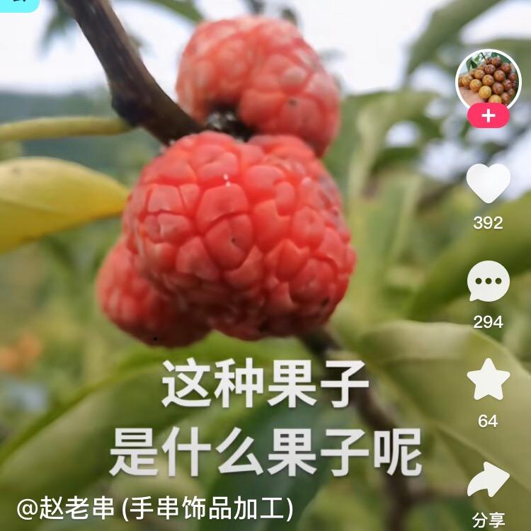 哈皮牛耶。              ～