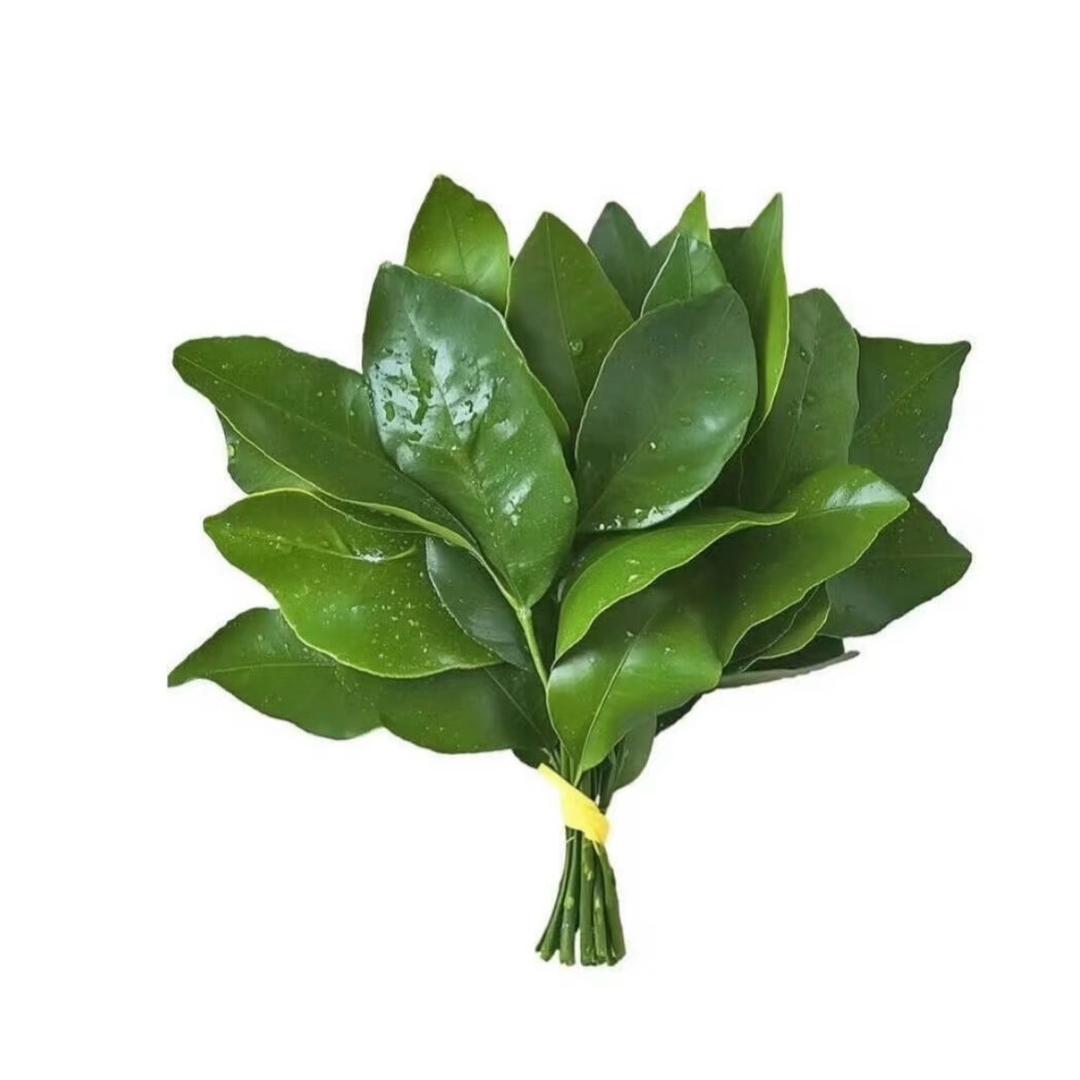 X.