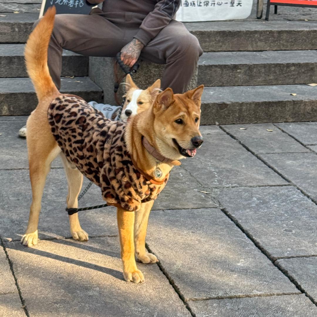 香辣鸡腿堡