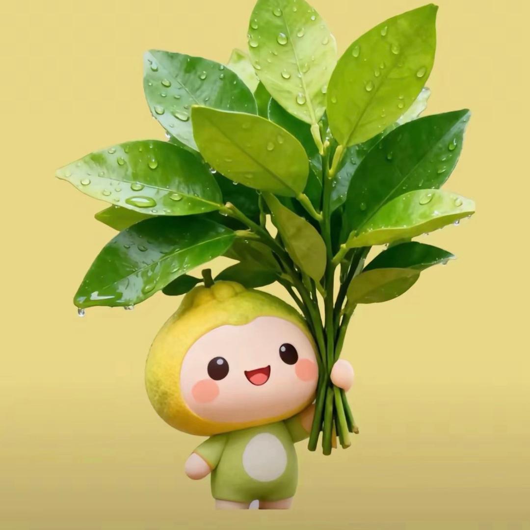 🍒红姐🍒（彬彬有氧运动）