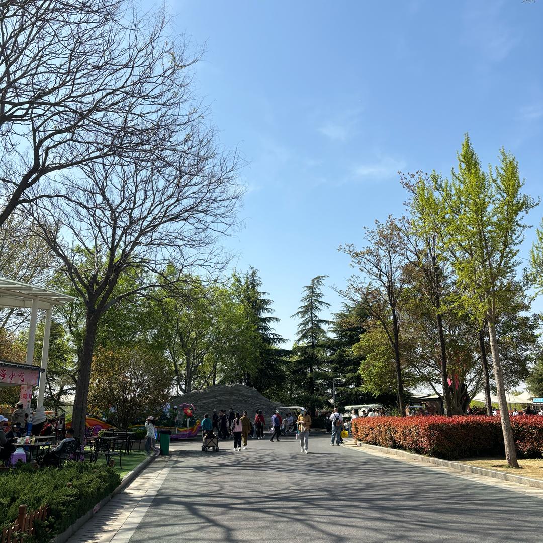 青柠🍋‍🟩柠檬味