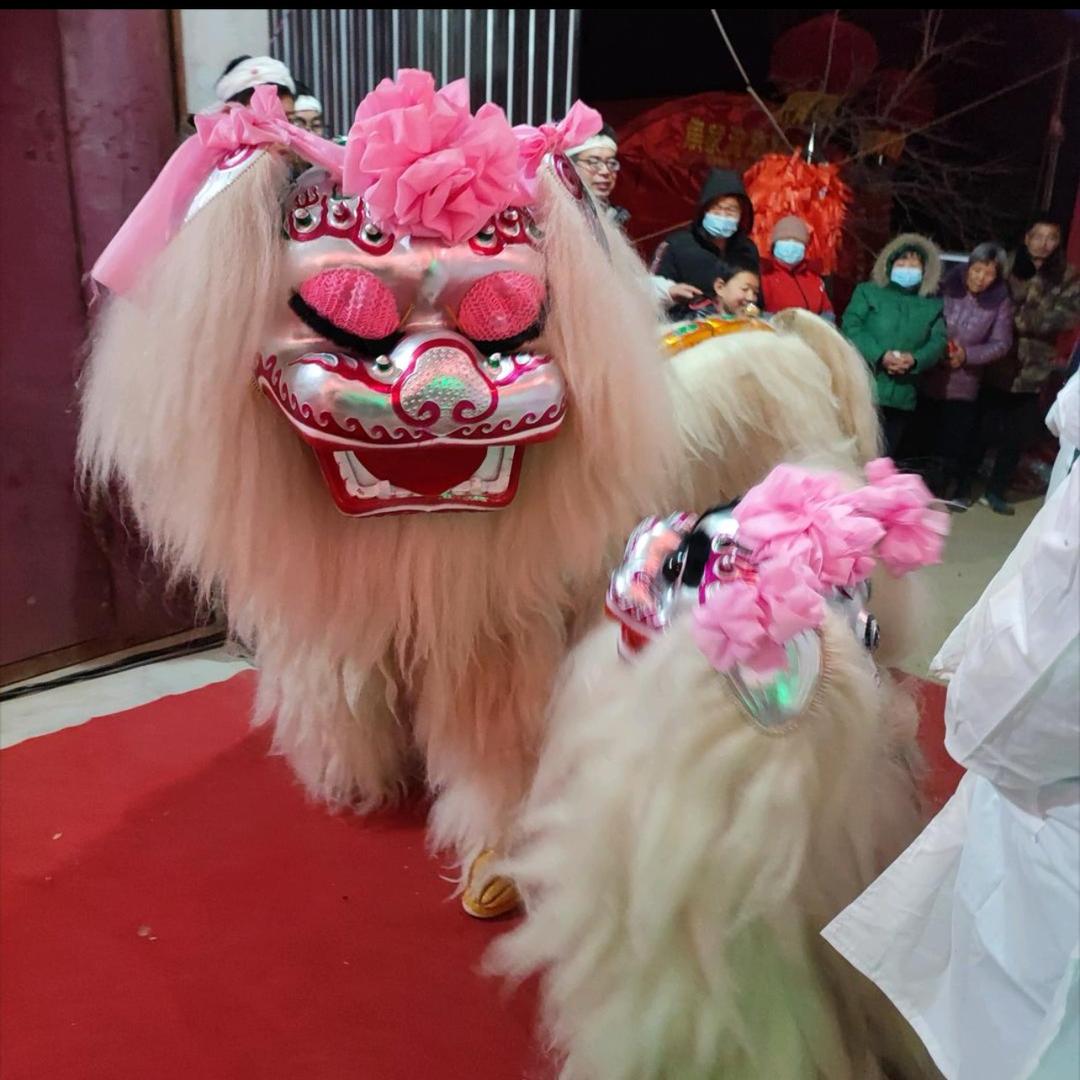 渭北小白狮（团队招人）