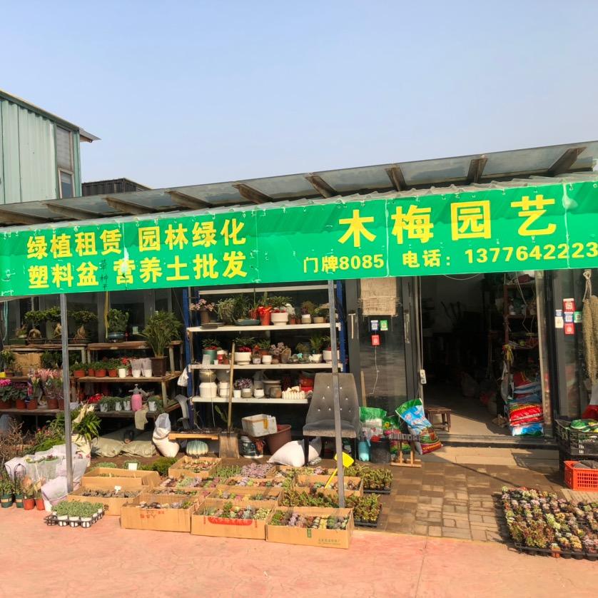 木梅园艺官方号