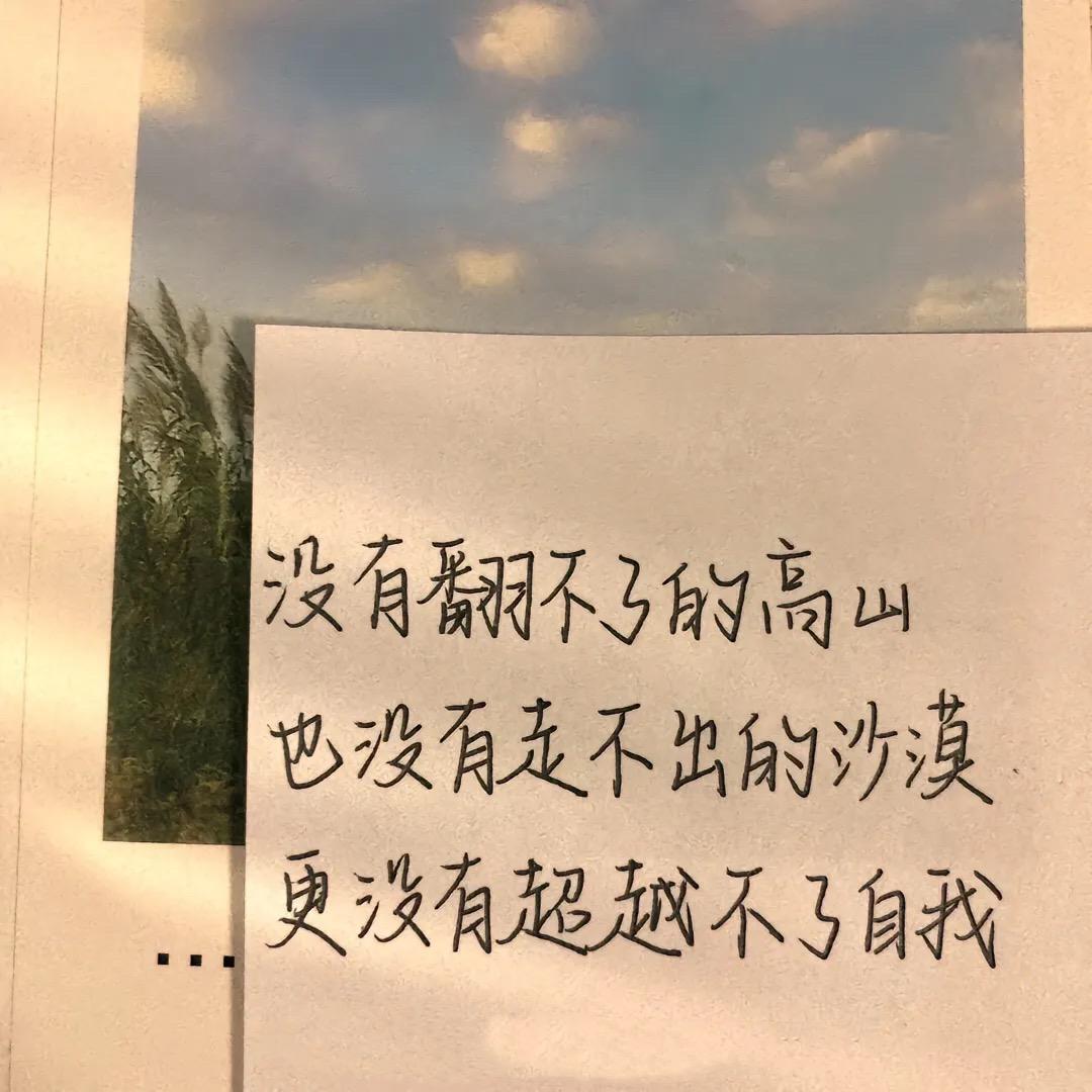 杨老师👩‍🏫