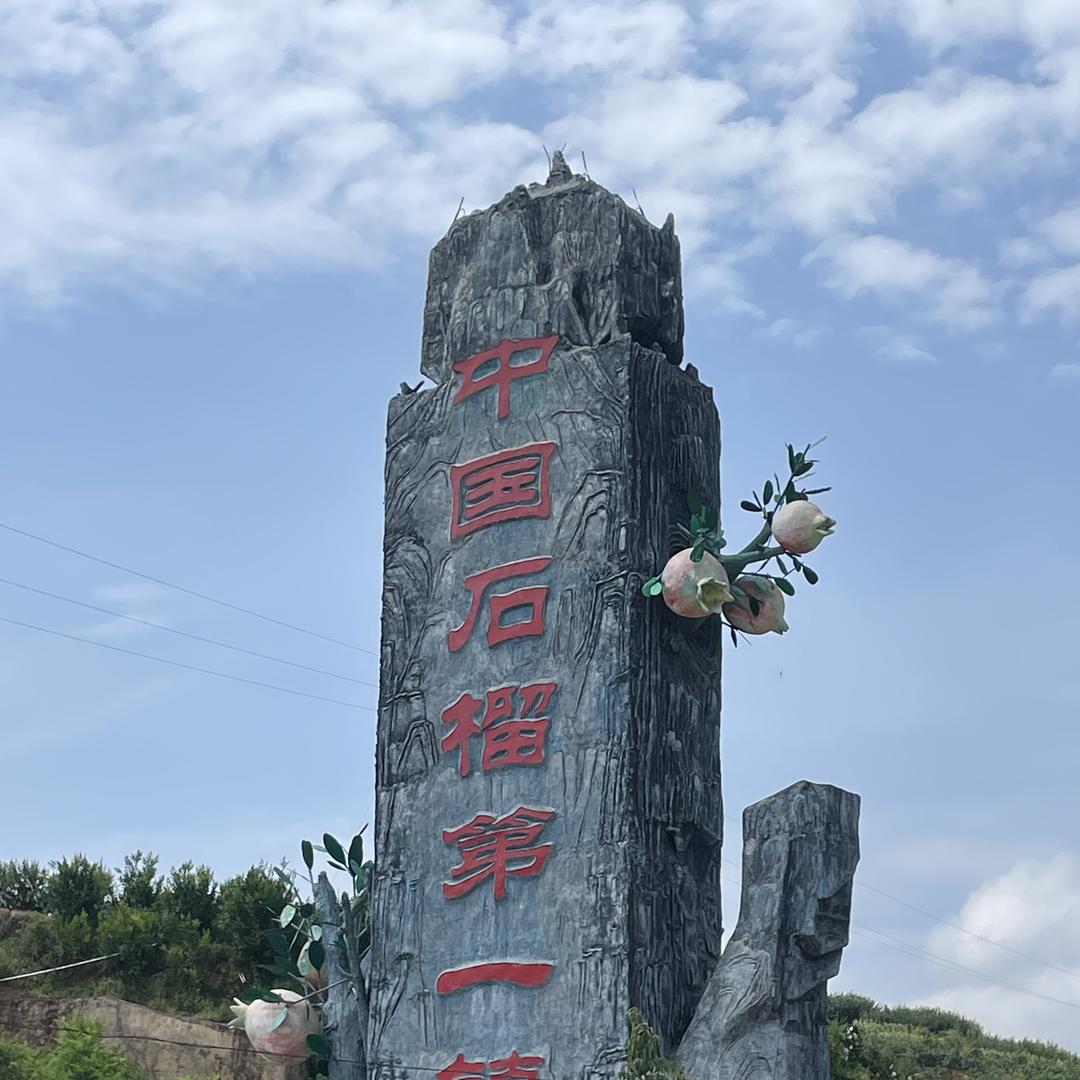 仕颜-水果电商供应链