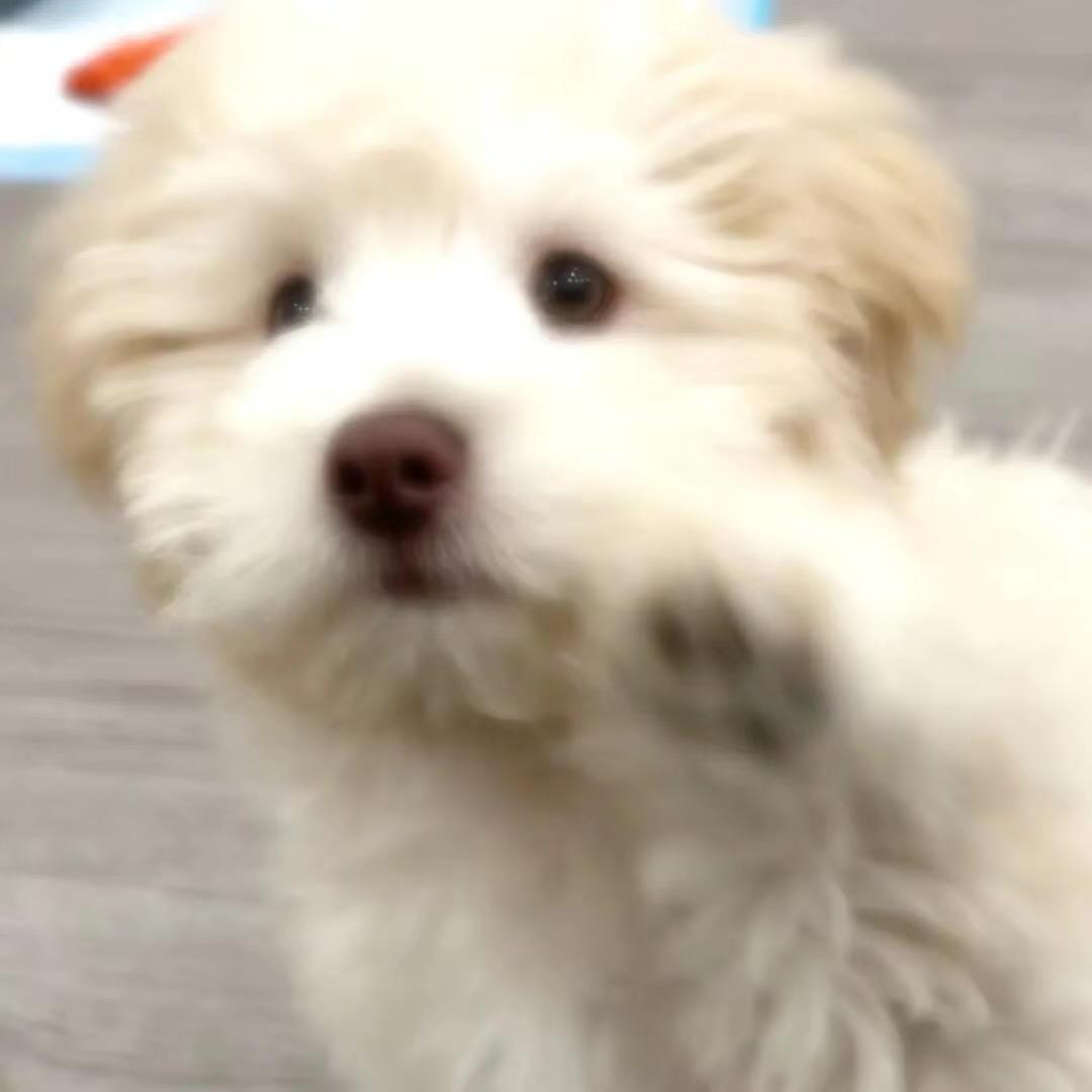 遇见'й