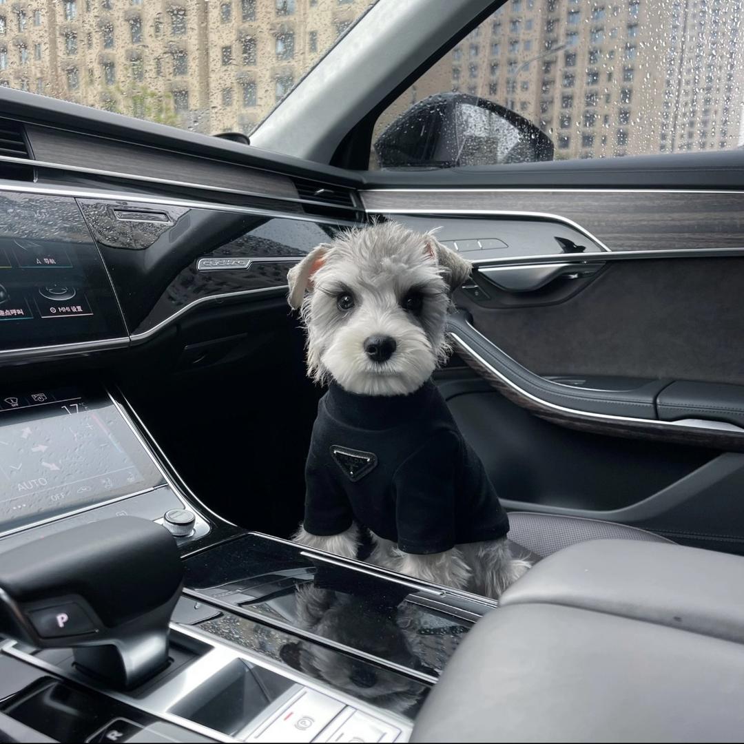 抽象画家🧑‍🎨