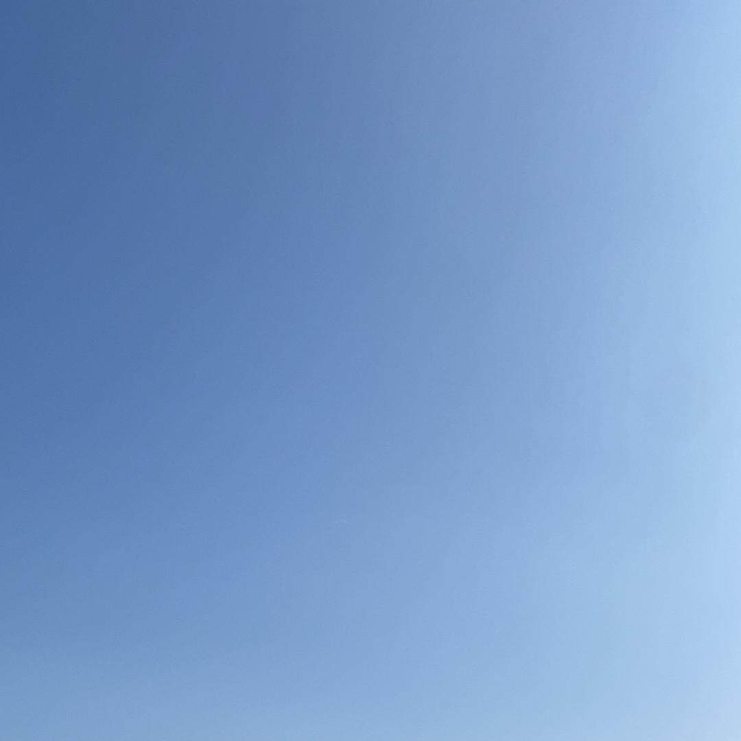 岁月如歌🌻