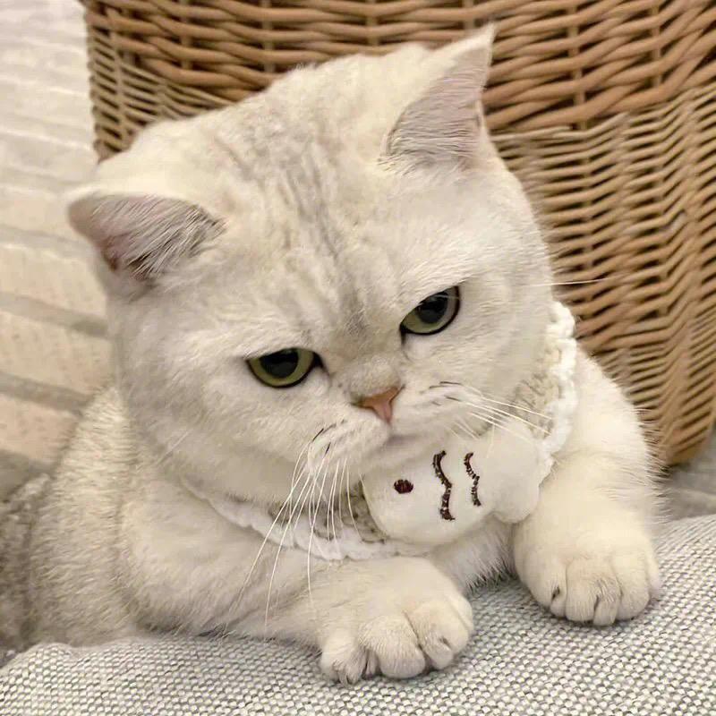 薯番你啦