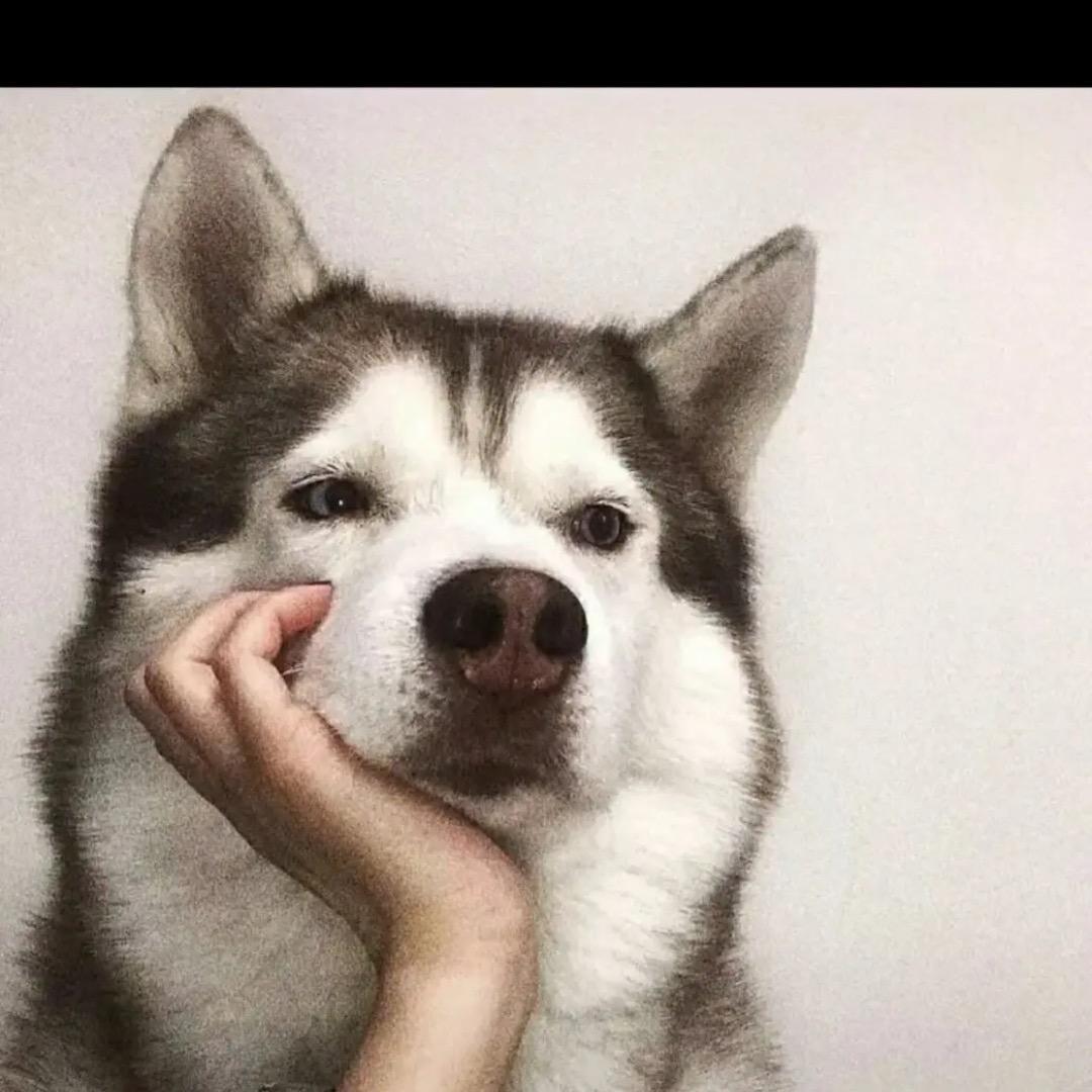 周日见