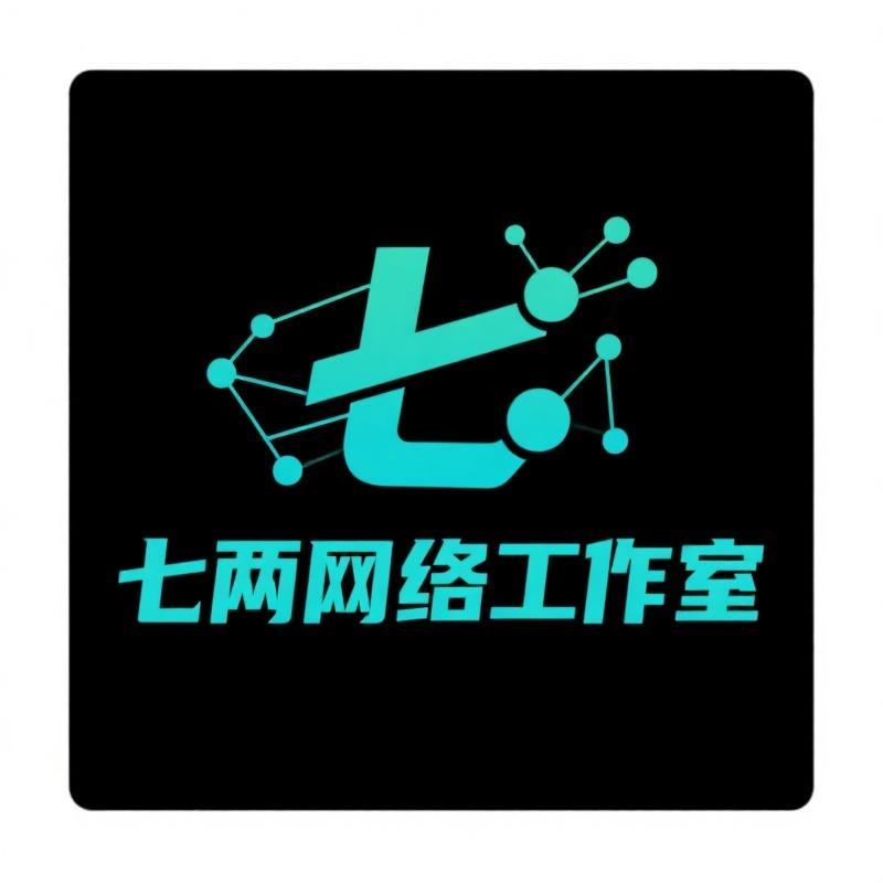 七两网络工作室