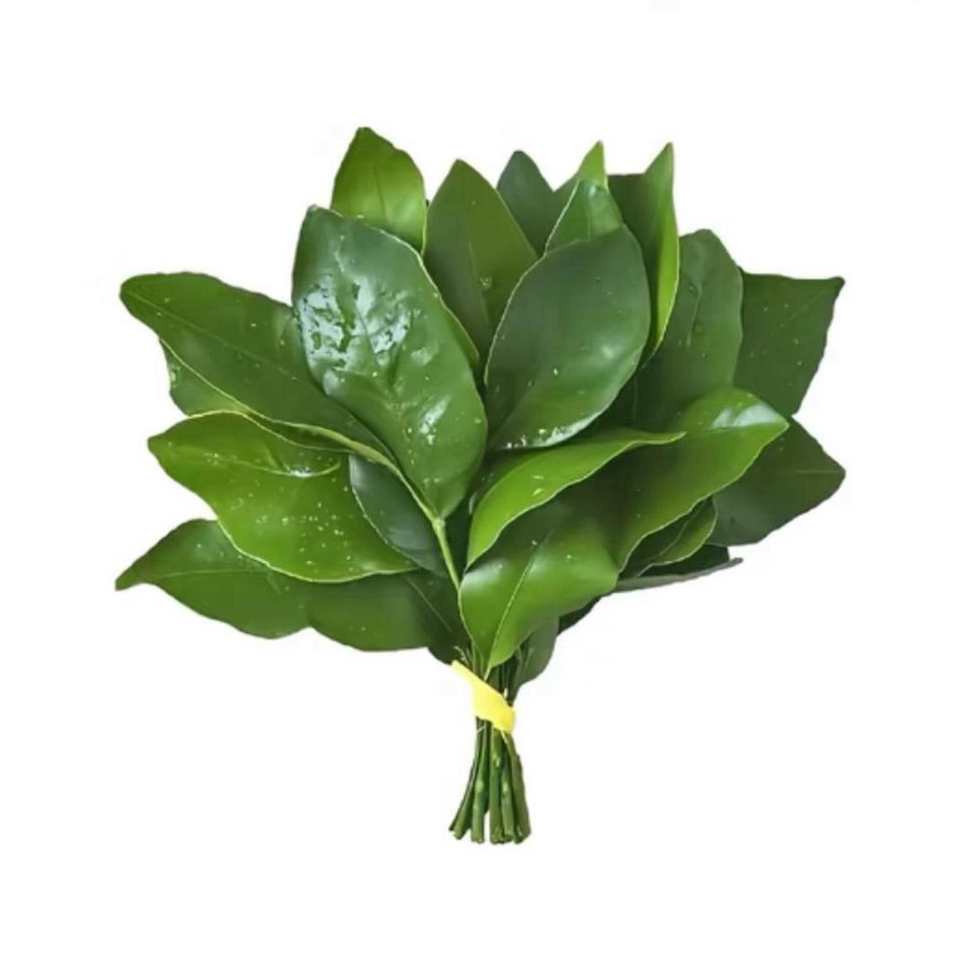 Yy