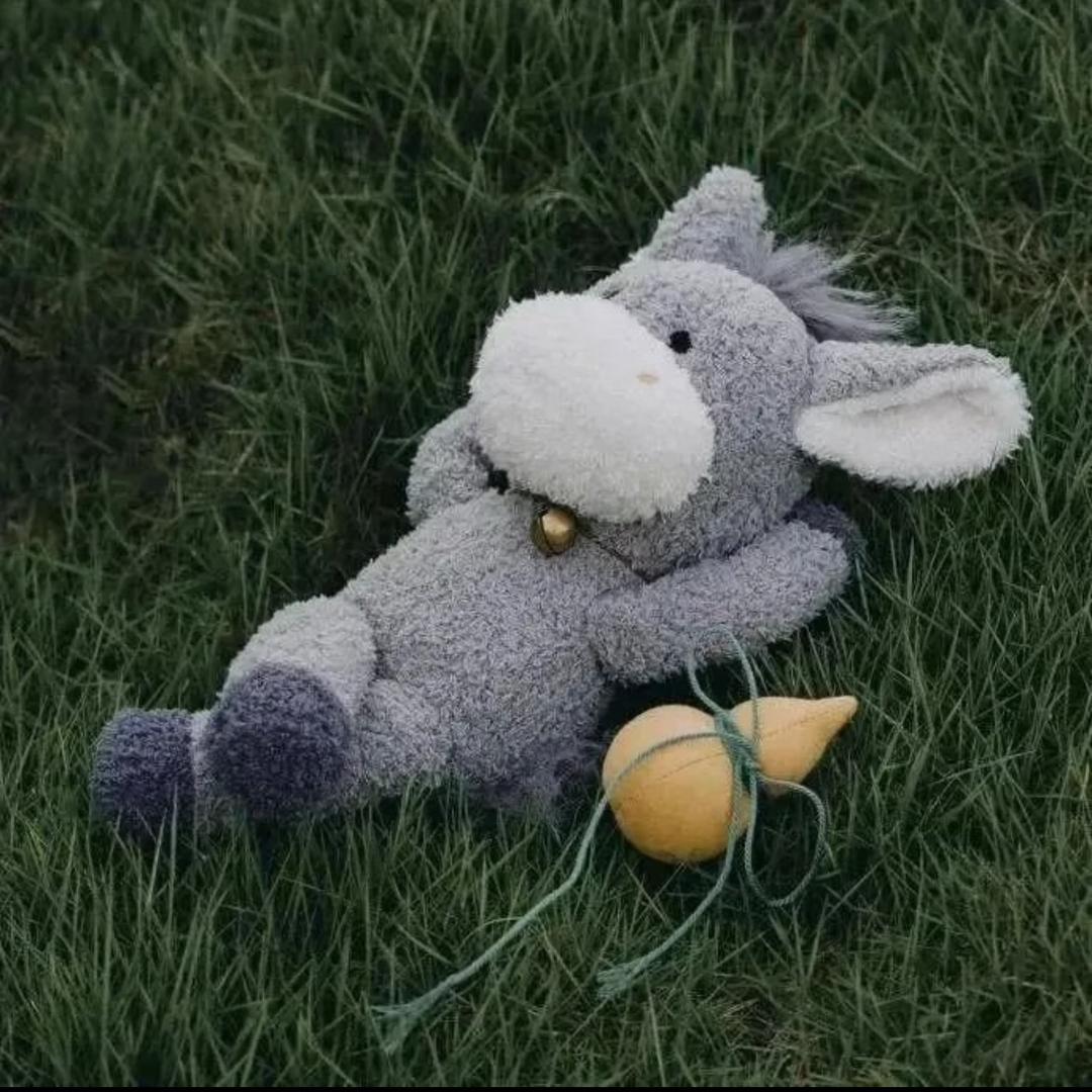 全时电竞小焦（华林店）