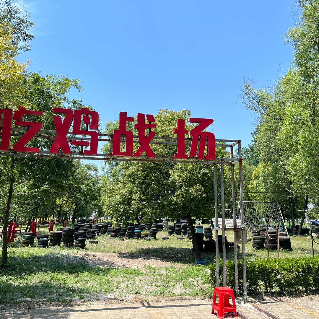 风华初露