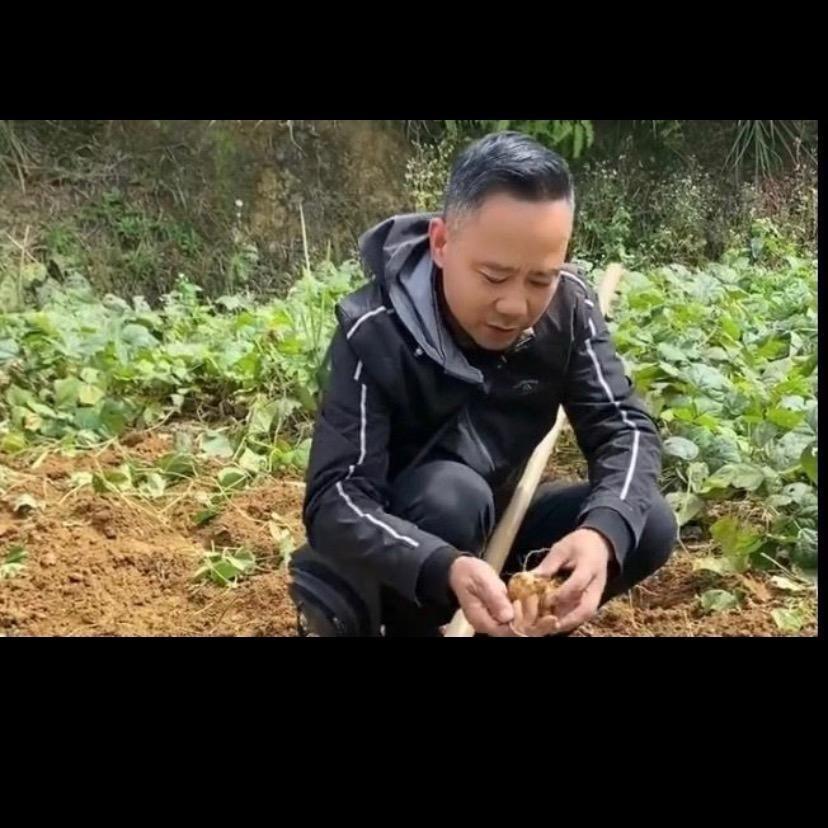 裤哥农产品
