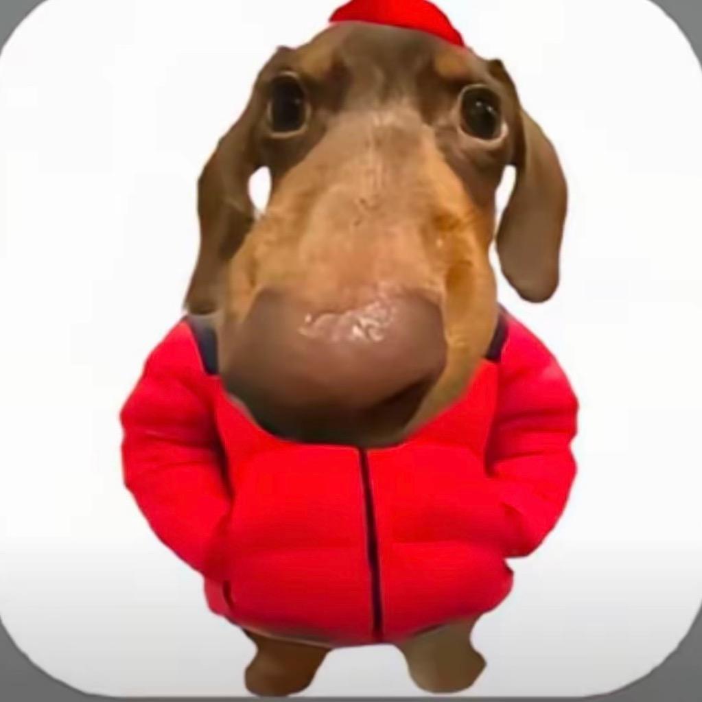 bb