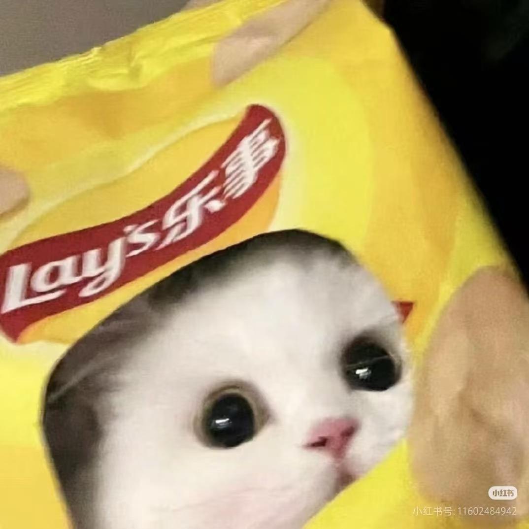 碎碎念