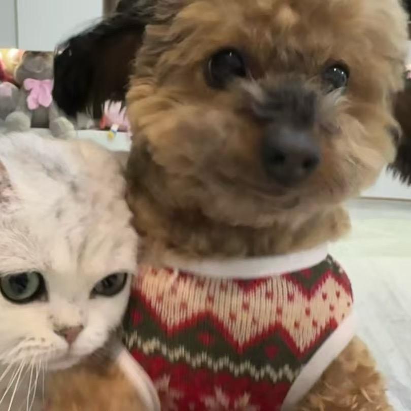 妹妹与健健