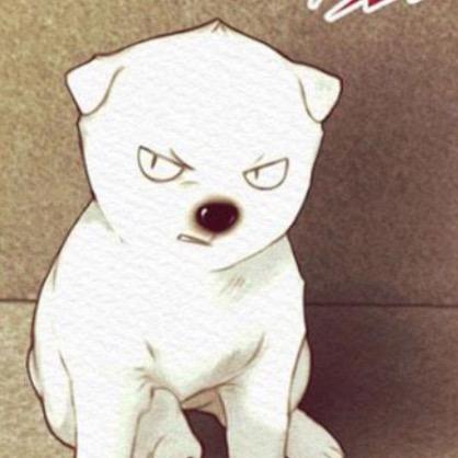 卿卿与尔