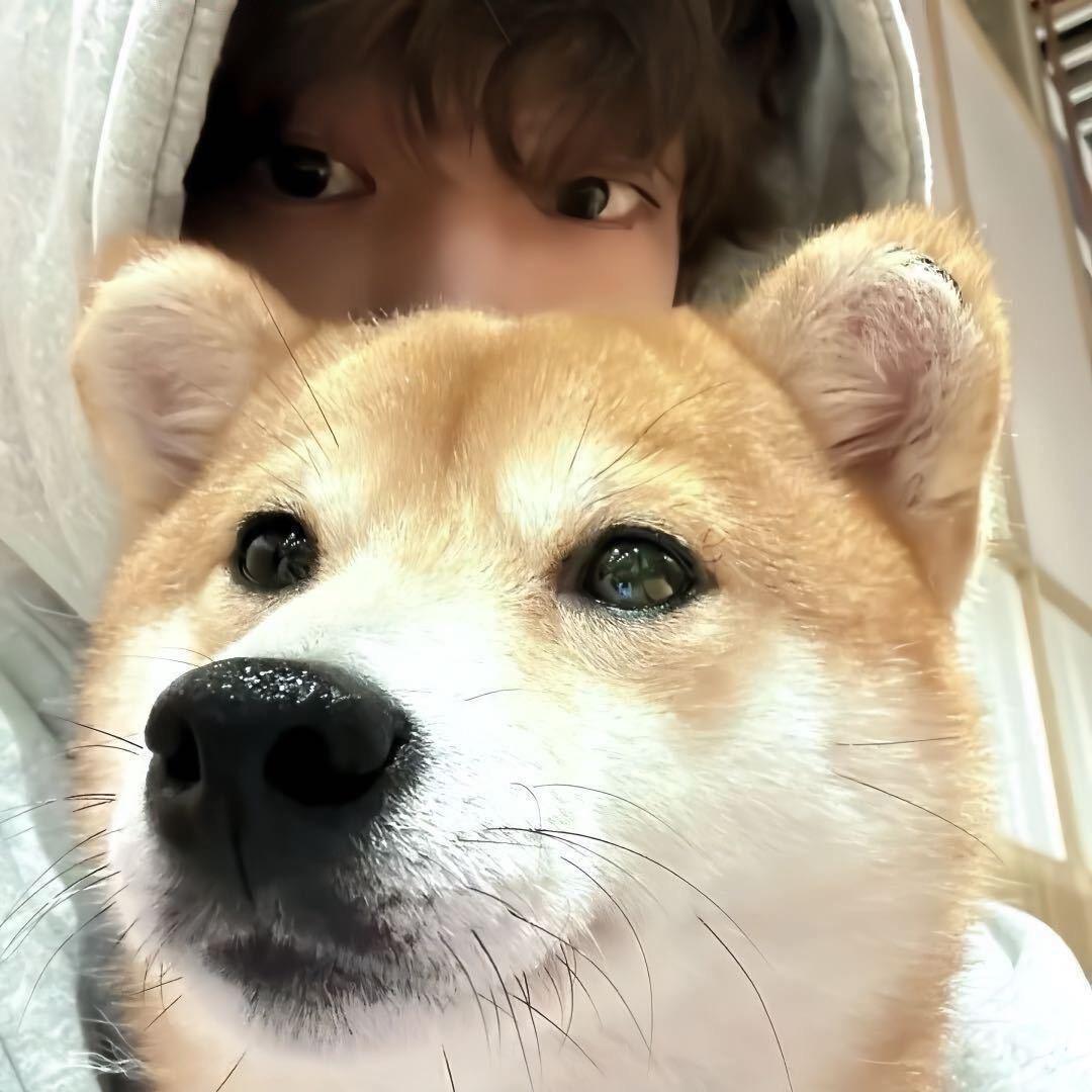 𝘾𝙚𝙘𝙞𝙡𝙚