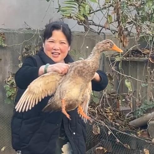 新泰美厨娘幸福生活