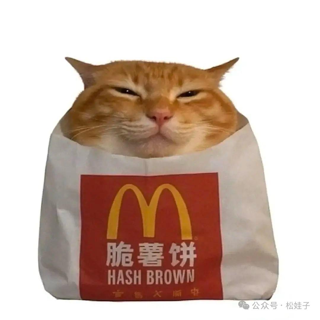 小鱼饼🍥