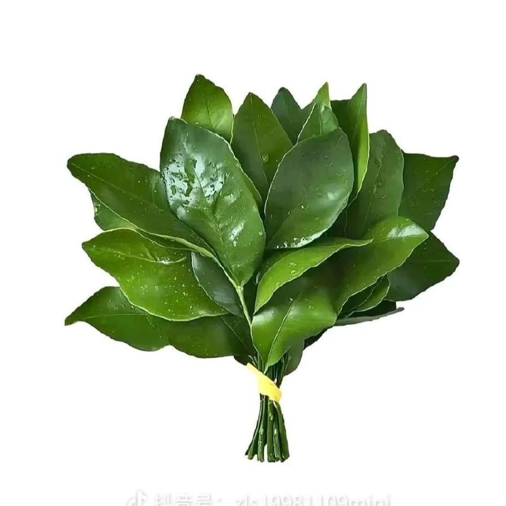 把烦恼丟掉。⁰