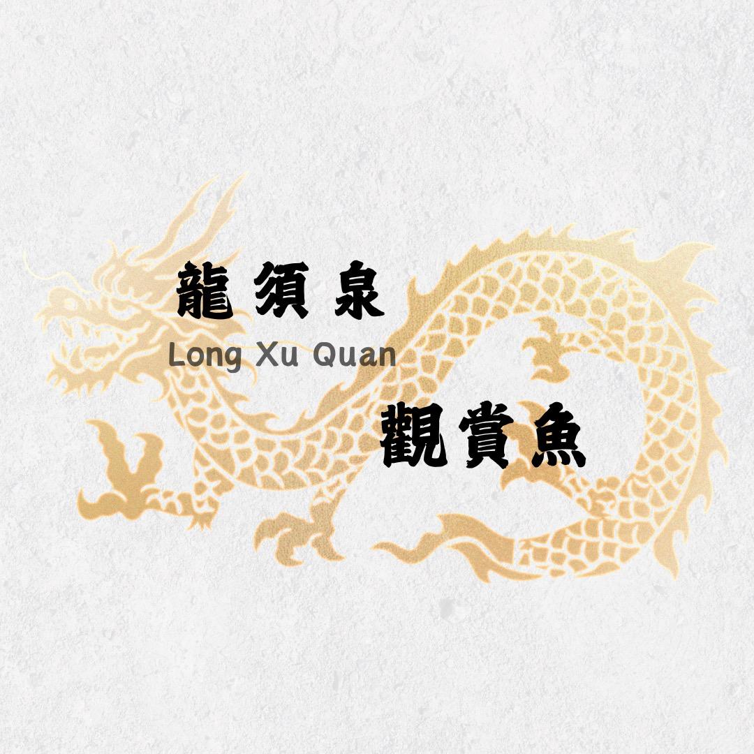 龙须泉观赏鱼