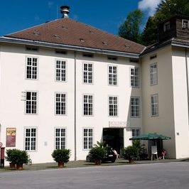 🦖🦞🕸🪰🐛🦋