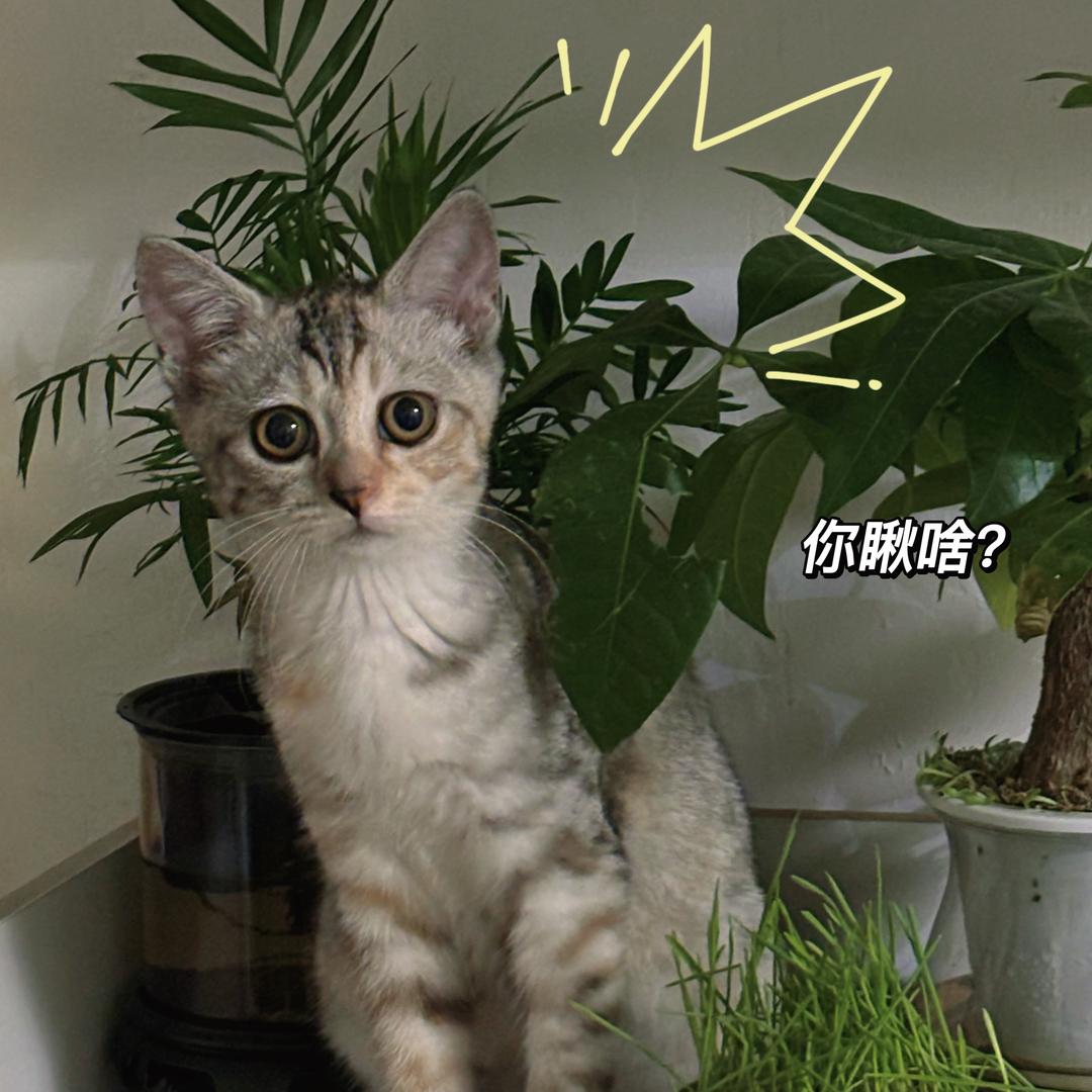 行～吧