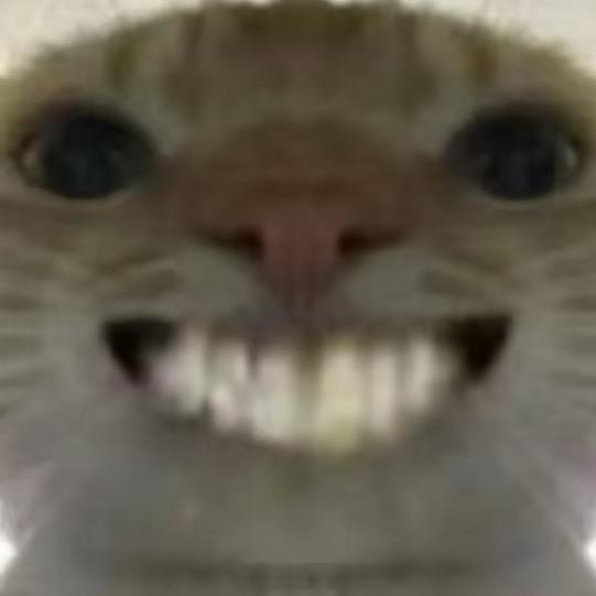 三角洲寻宝鼠鼠