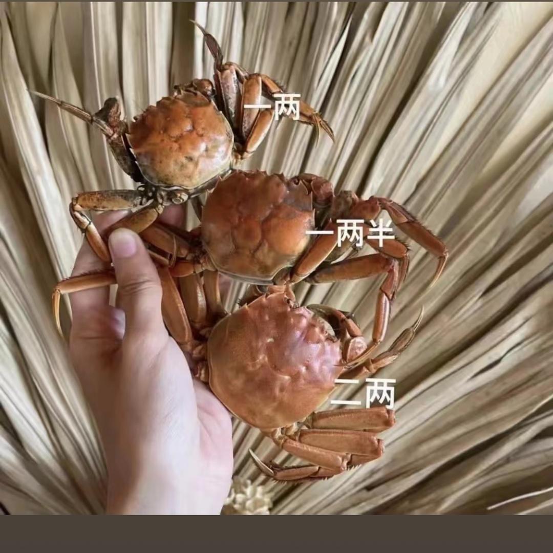 露水