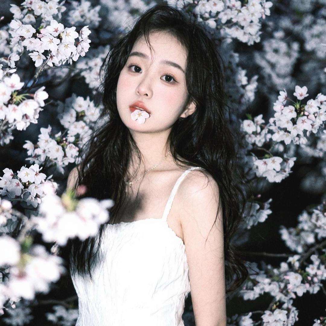 柠🌟檬🍋