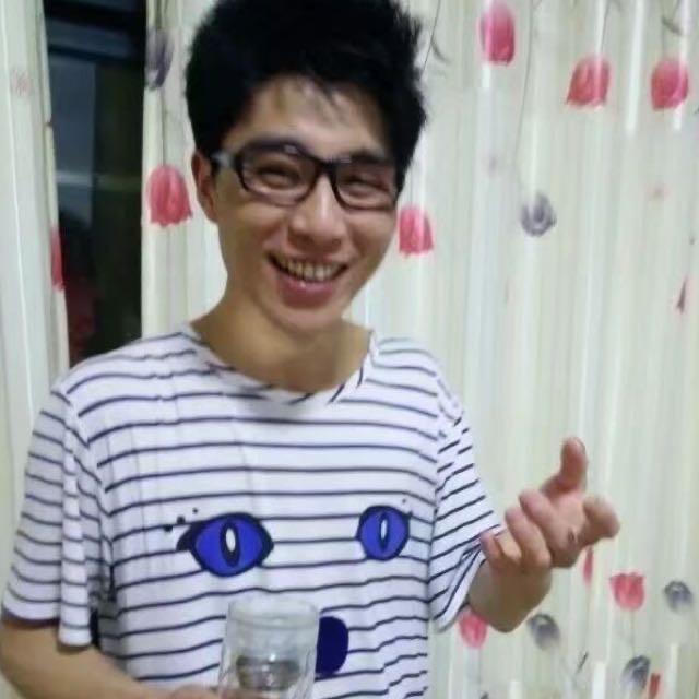 会飞的唐老鸭