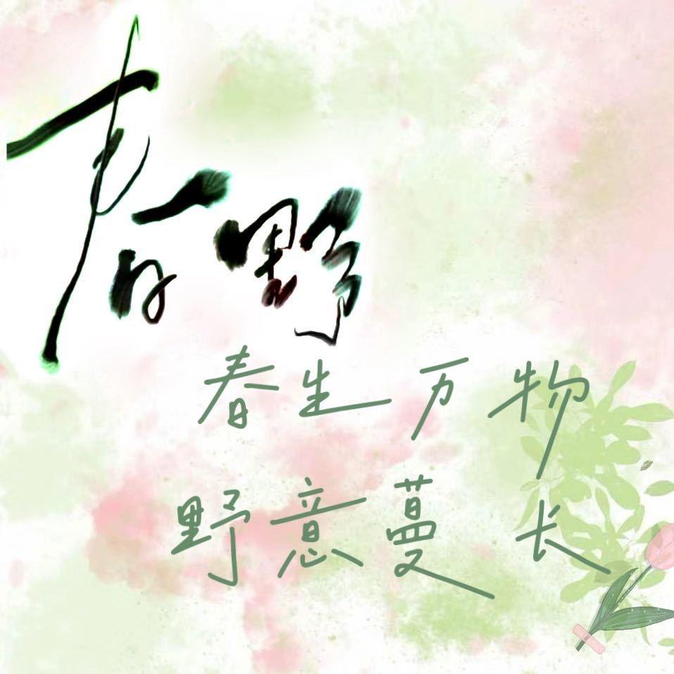 青林春野艺术好货店