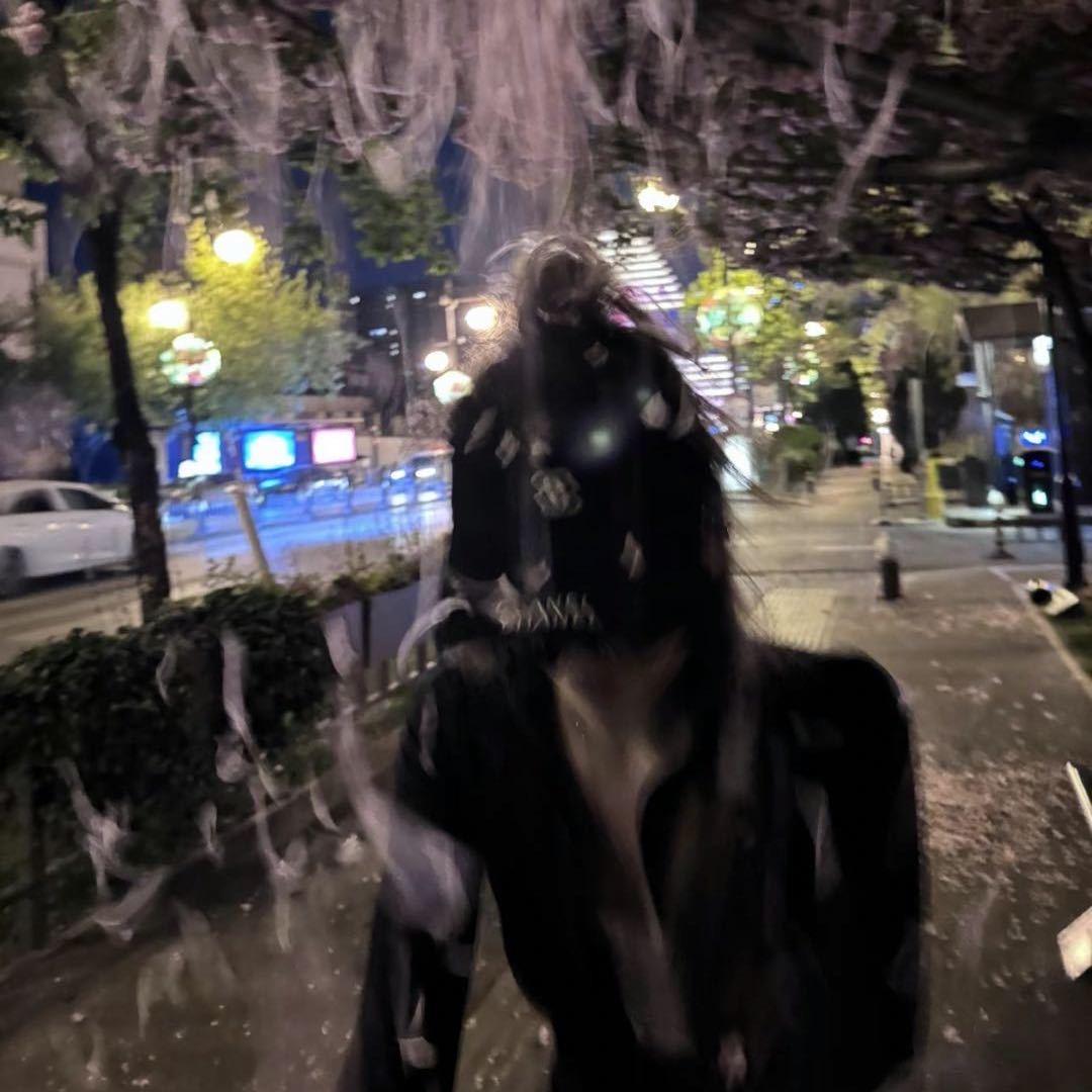 可爱的大丹！