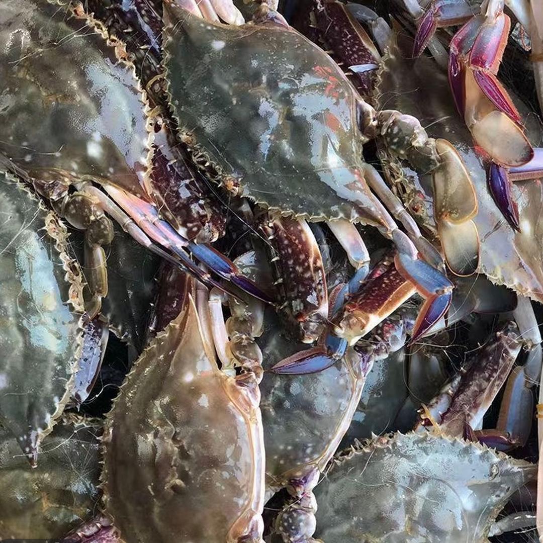 饭饭海鲜