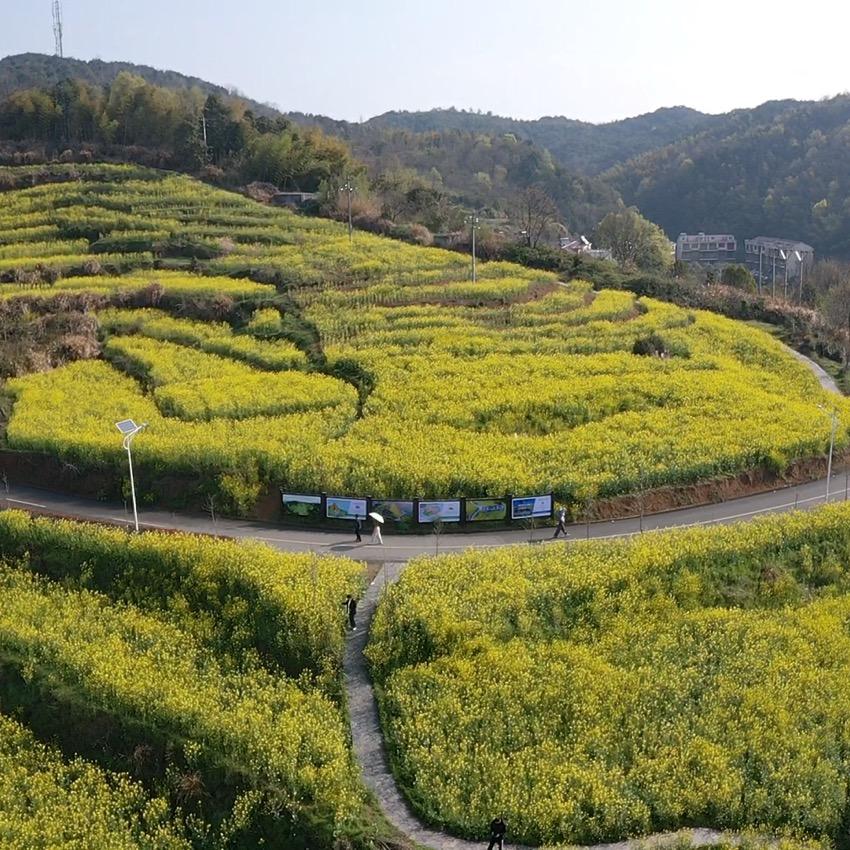 阳光开心