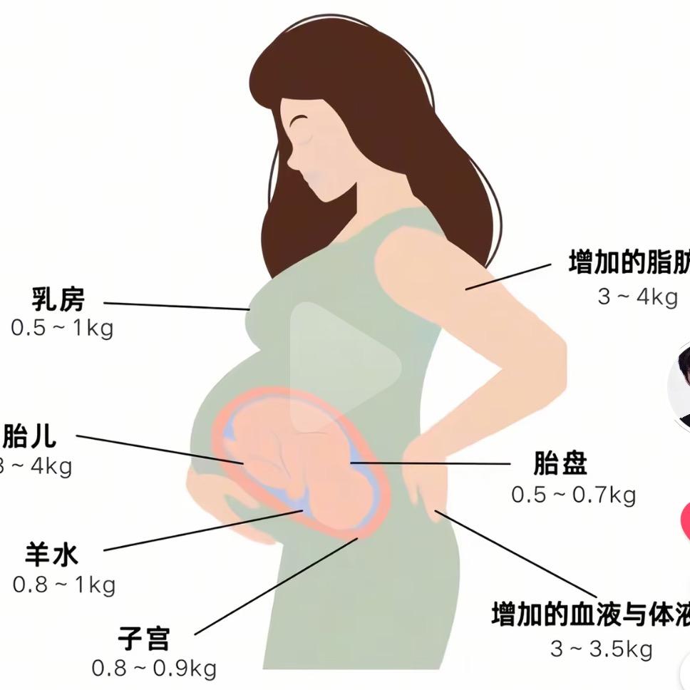 Cici爱分享(孕中期)