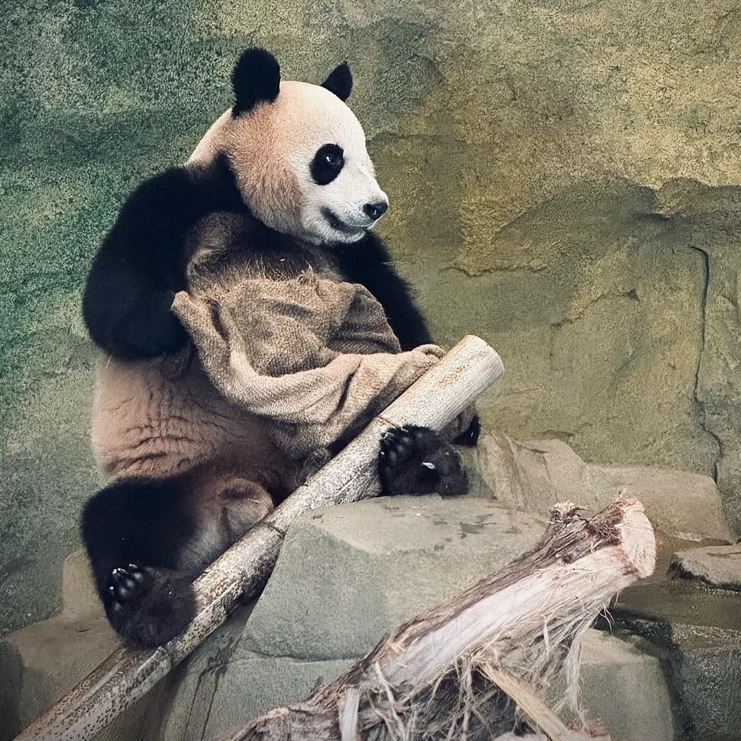 你的生活．我的梦。🔭