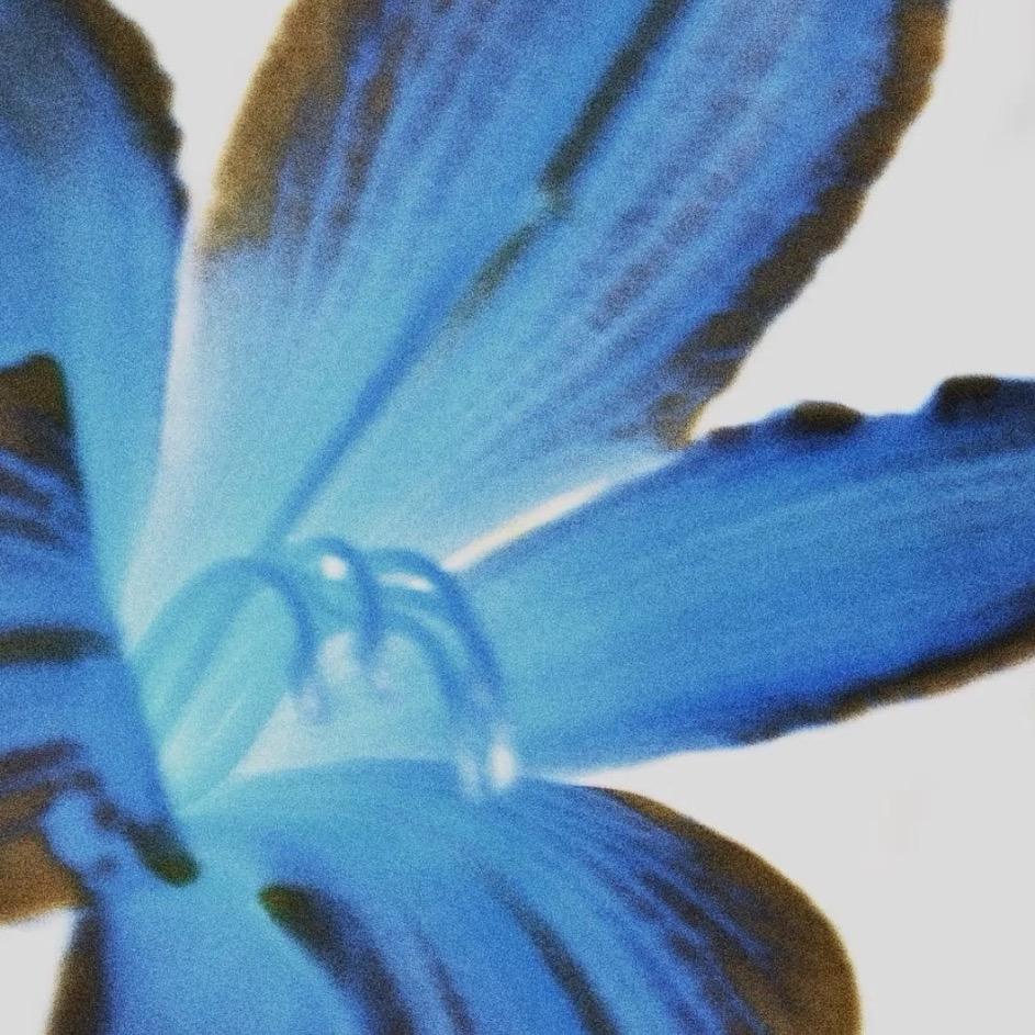 Azul