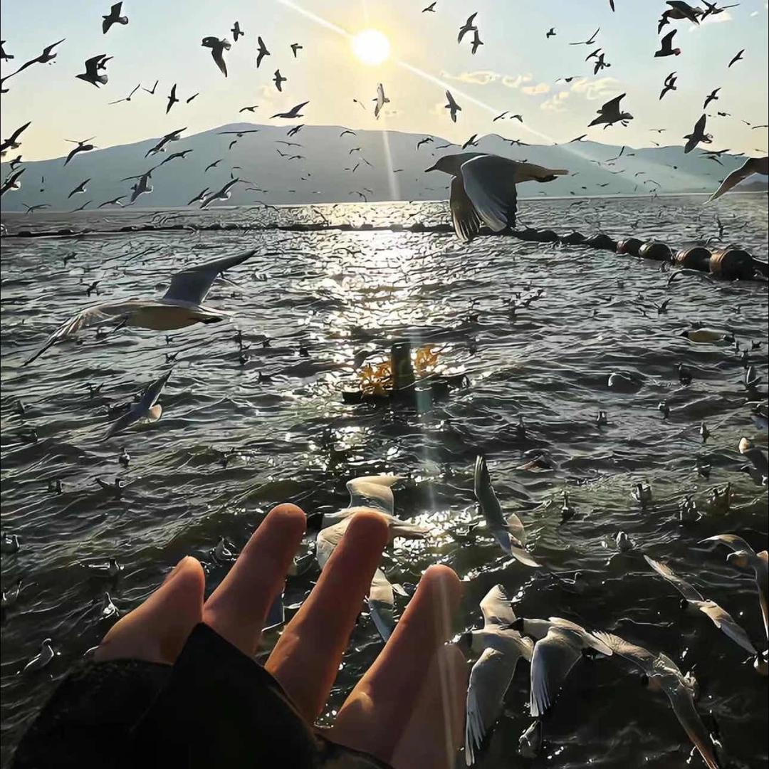 落霞与孤鹜齐飞